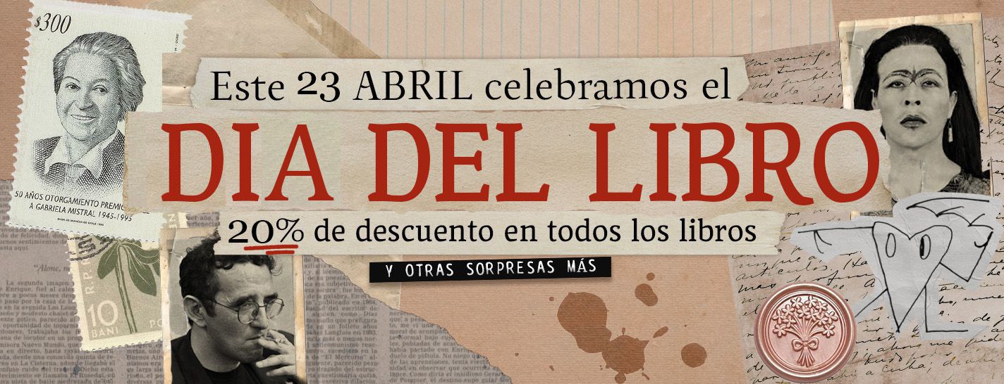 Odoo CMS - una imagen grande