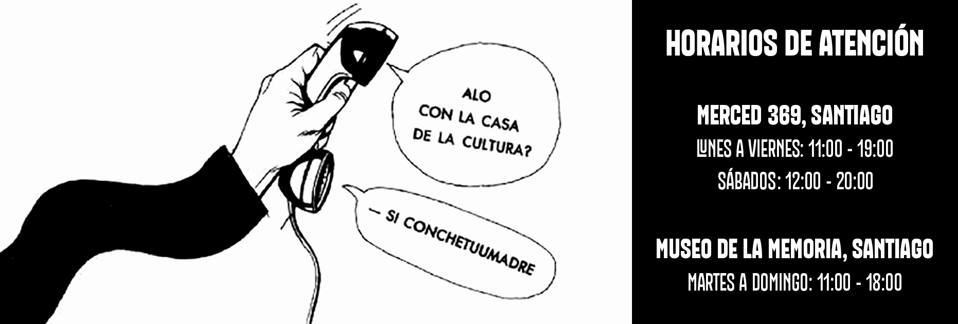 Odoo CMS - una imagen grande