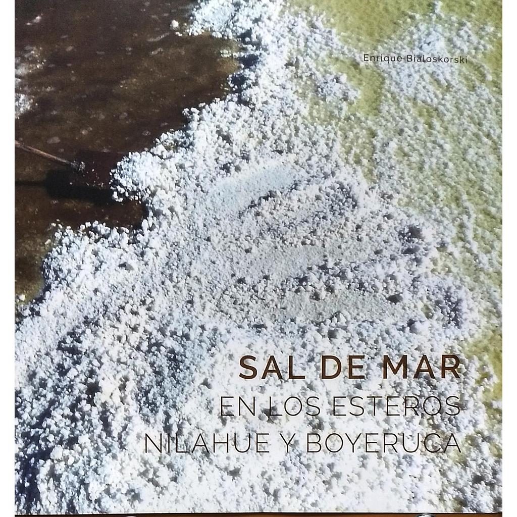 SAL DE MAR EN LOS ESTEROS NILAHUE Y BOYERUCA