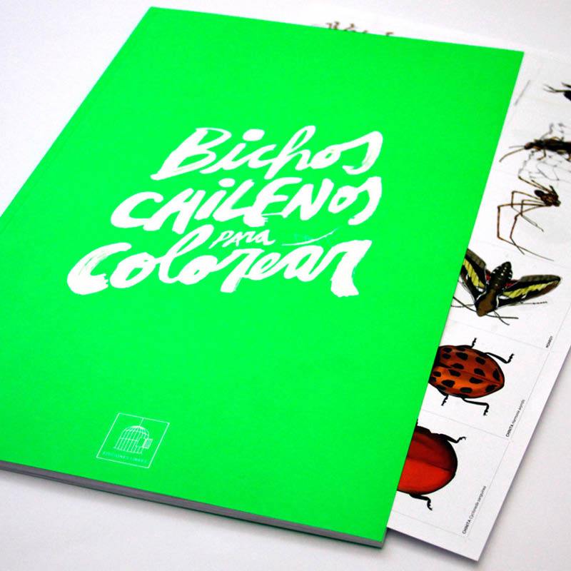 BICHOS CHILENOS PARA COLOREAR