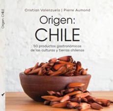 ORIGEN: CHILE