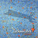 ACEVICHADO