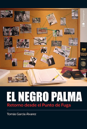 EL NEGRO PALMA