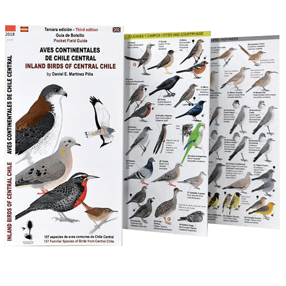 AVES MARINAS Y PLAYERAS DE CHILE (DESPLEGABLE)