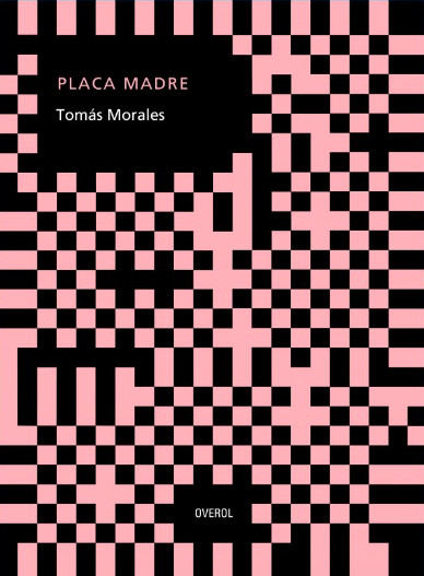 PLACA MADRE