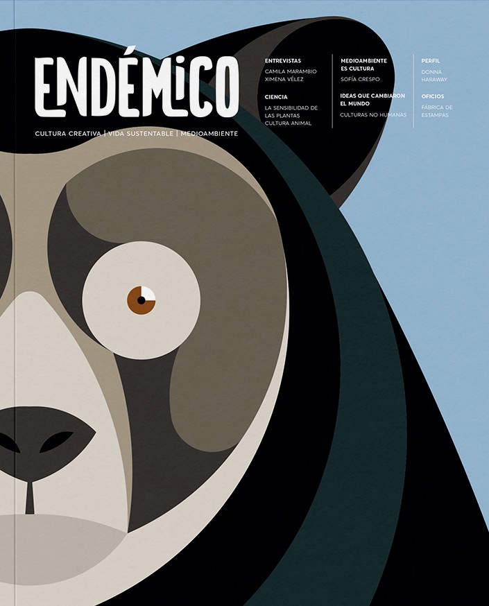 REVISTA ENDEMICO 8 