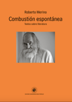 COMBUSTION ESPONTANEA. TEXTOS SOBRE LITERATURA