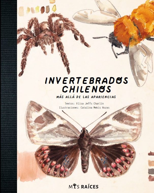 INVERTEBRADOS CHILENOS. MAS ALLA DE LAS APARIENCIAS