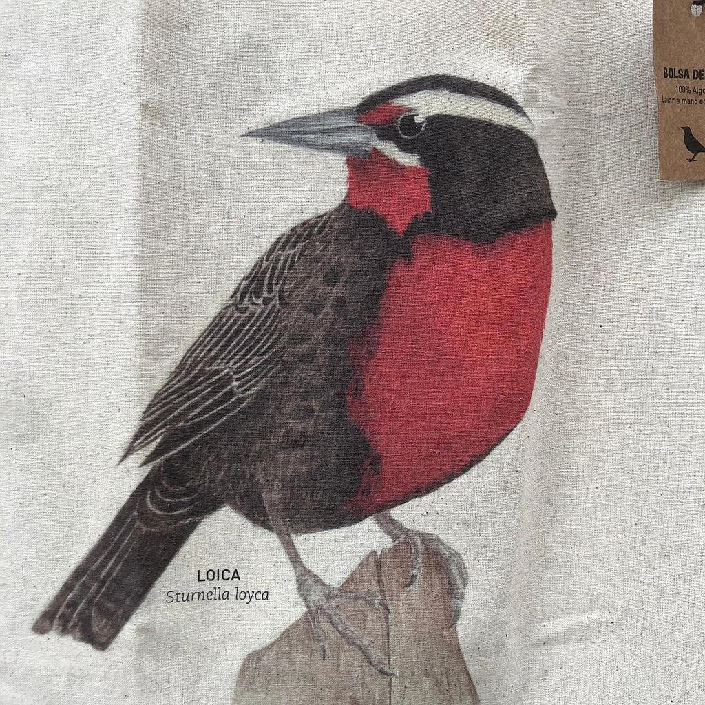 BOLSO WUDKO LOICA