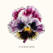 CAMINEMOS (CD)