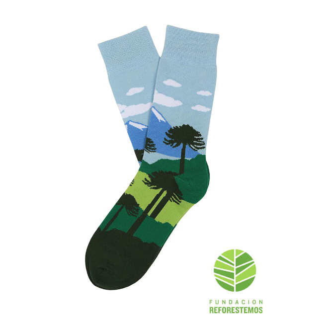CALCETINES ARAUCARIA