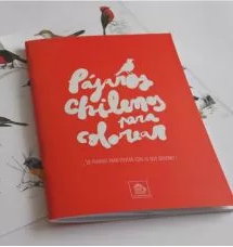PAJAROS CHILENOS PARA COLOREAR