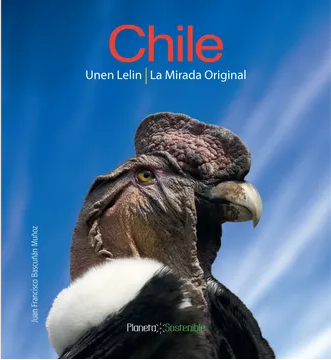 CHILE UNEN LELIN. LA MIRADA ORIGINAL