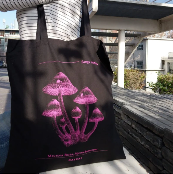 BOLSO FUNGA