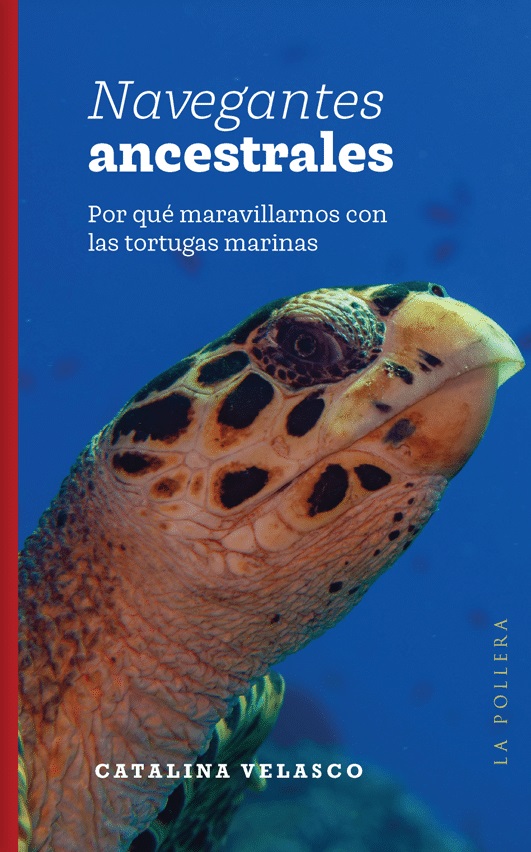 NAVEGANTES ANCESTRALES