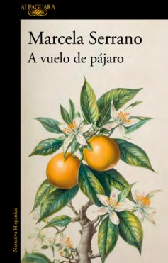 A VUELO DE PAJARO