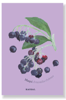 IMAN FRUTAS NATIVAS MAQUI