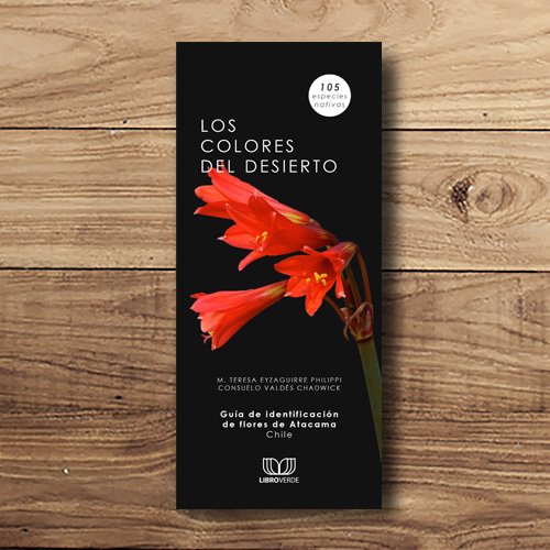 LOS COLORES DEL DESIERTO