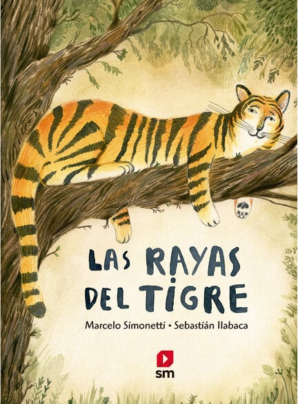 LAS RAYAS DEL TIGRE