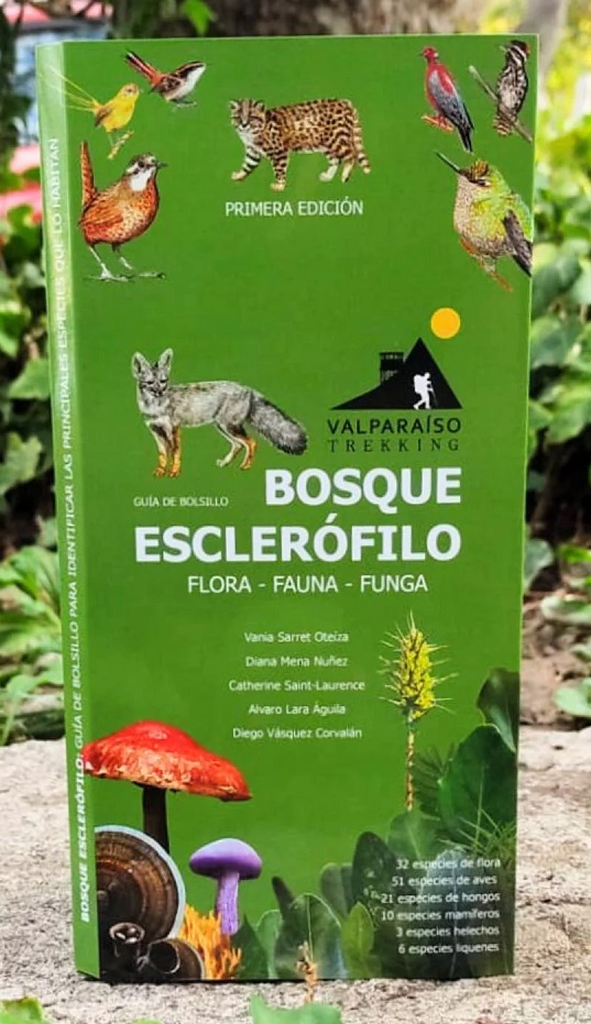 BOSQUE ESCLEROFILO (GUIA DE BOLSILLO)