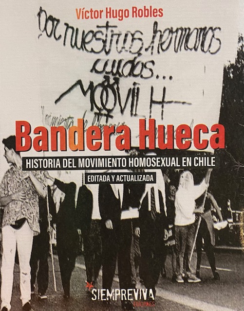 BANDERA HUECA