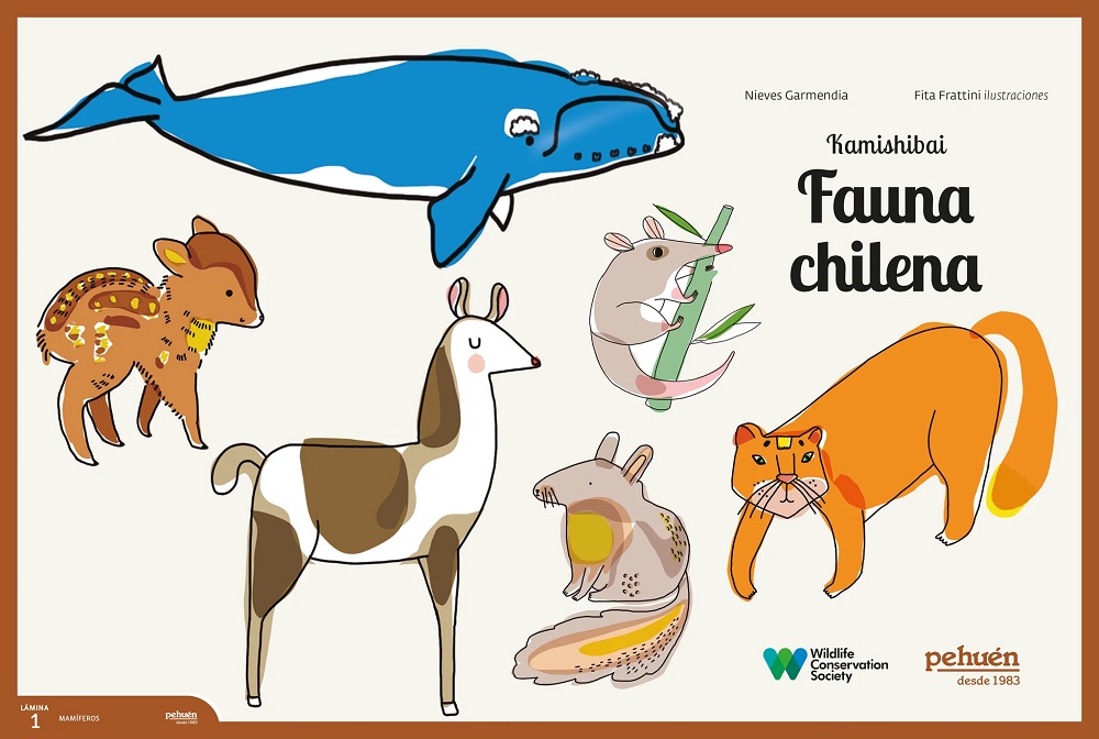 KAMISHIBAI FAUNA CHILENA