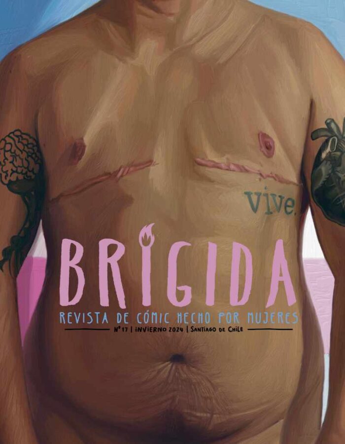 REVISTA BRIGIDA 17