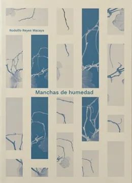 MANCHAS DE HUMEDAD