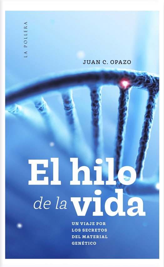 EL HILO DE LA VIDA