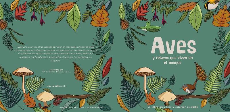 AVES Y RELATOS QUE VIVEN EN EL BOSQUE