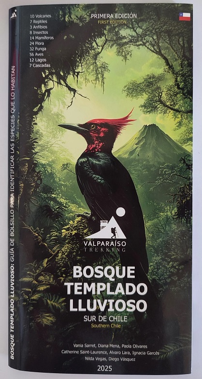 BOSQUE TEMPLADO LLUVIOSO DESPLEGABLE