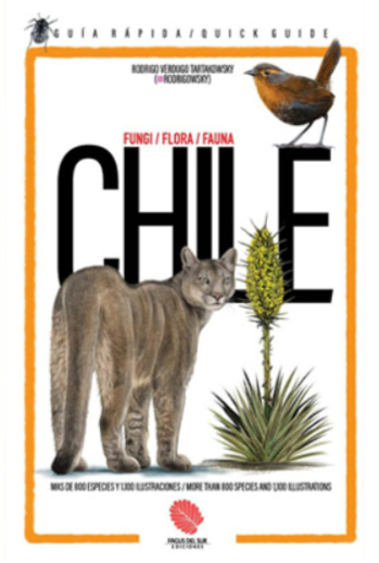 CHILE UNA GUIA RAPIDA