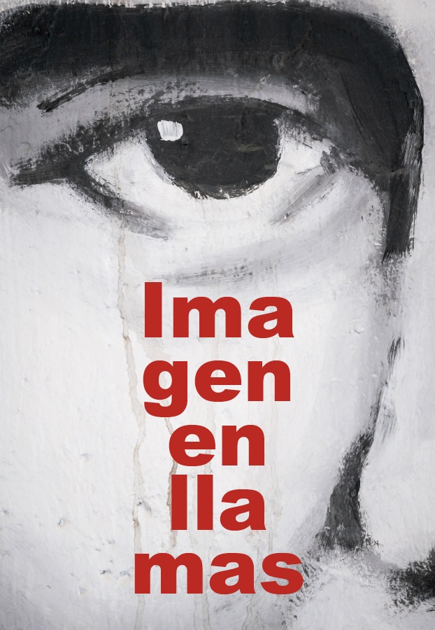 IMAGEN EN LLAMAS