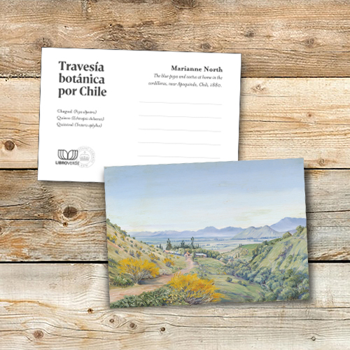 SET POSTALES TRAVESIA BOTANICA POR CHILE