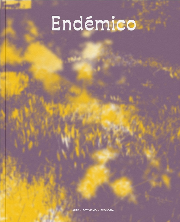 REVISTA ENDEMICO 11
