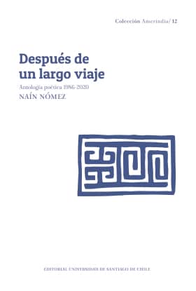 DESPUES DE UN LARGO VIAJE