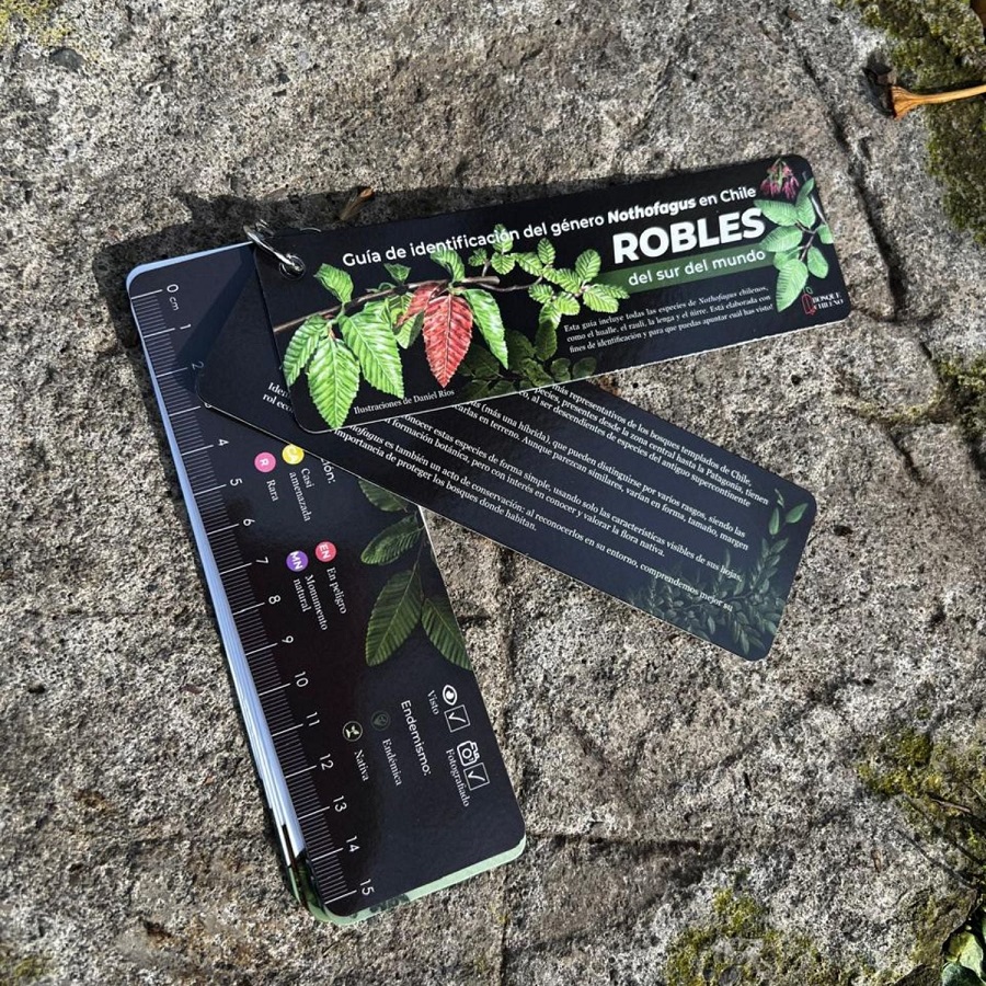 PANTONERA ROBLES DEL SUR DEL MUNDO