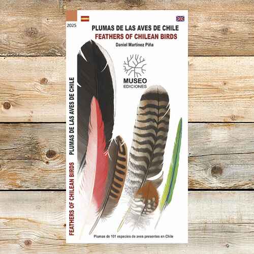 PLUMAS DE LAS AVES DE CHILE (DESPLEGABLE)