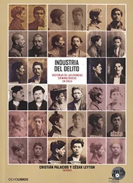 INDUSTRIA DEL DELITO