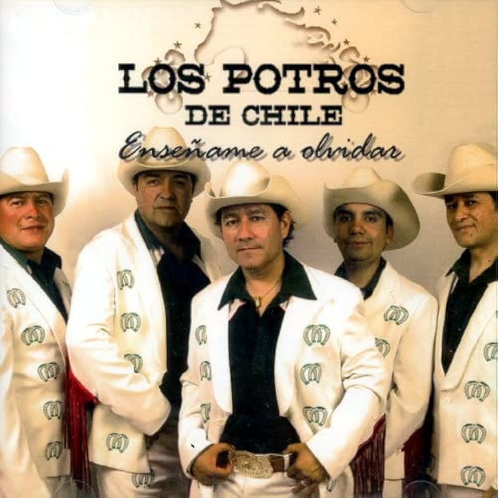 ENSEÑAME A OLVIDAR (CD)