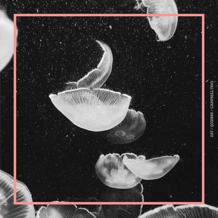 SPLIT (LP)