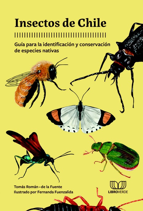 INSECTOS DE CHILE
