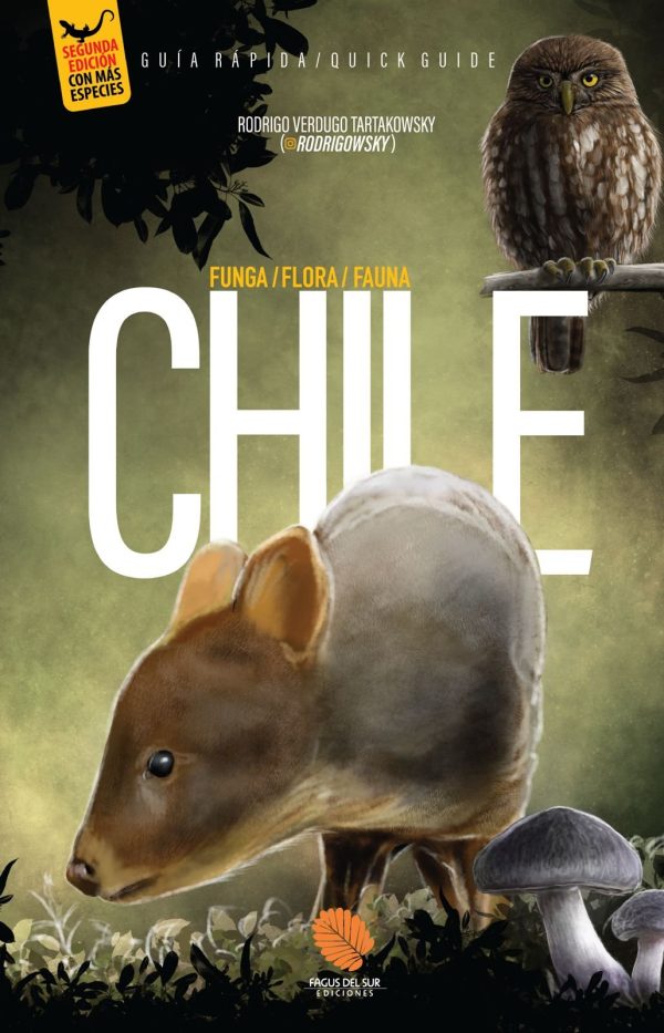 CHILE UNA GUIA RAPIDA (SEGUNDA EDICION)