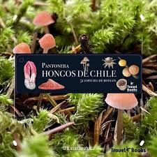 PANTONERA HONGOS DE CHILE