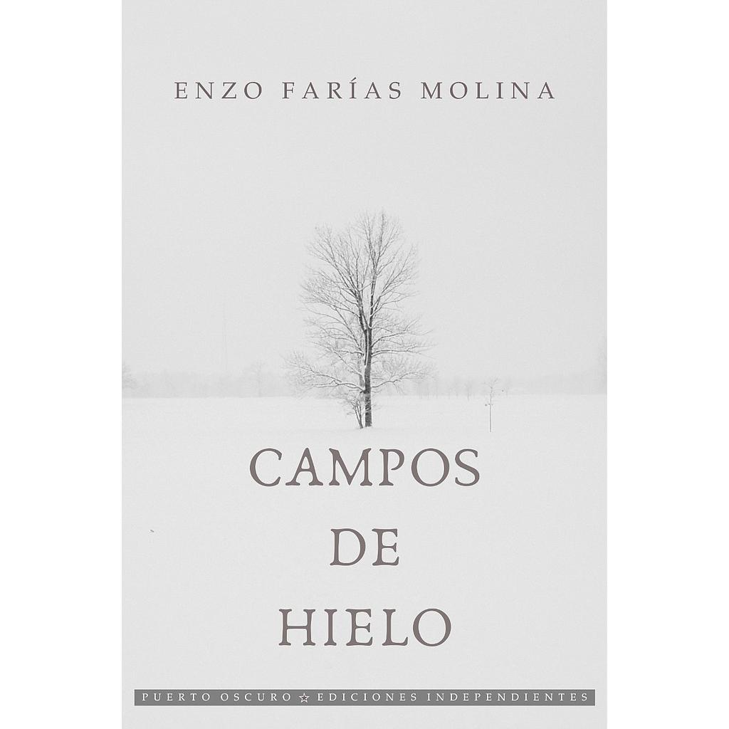 CAMPOS DE HIELO