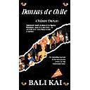DANZAS DE CHILE CHILEAN DANCES