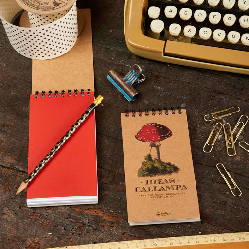 LIBRETA ANILLADA CHICA IDEAS CALLAMPA